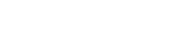 BSE Capital